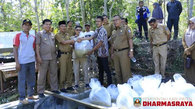 Wabup Serahkan Bantuan 10 Ribu Benih Ikan untuk Pemuda Siguntur